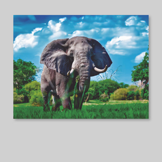 Elefante Paisaje